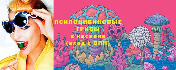 мдпв Семёнов
