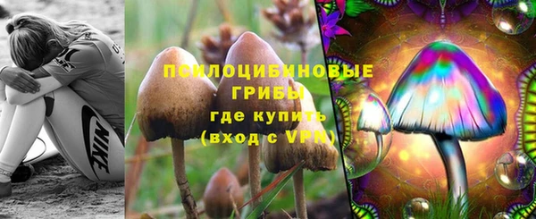 мдпв Семёнов