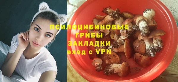 мдпв Семёнов