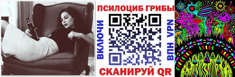 Галлюциногенные грибы Psilocybe  Новокузнецк 