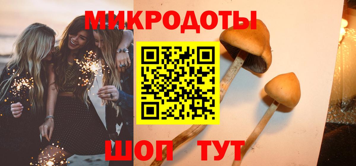 Псилоцибиновые грибы Psilocybe  купить наркоту  Новокузнецк  Псилоцибиновые грибы GOLDEN TEACHER  Вход с VPN 