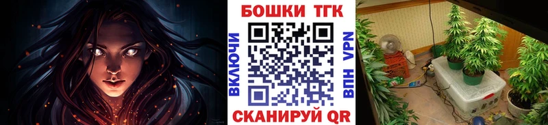 Шишки марихуана THC 21%  Новокузнецк 